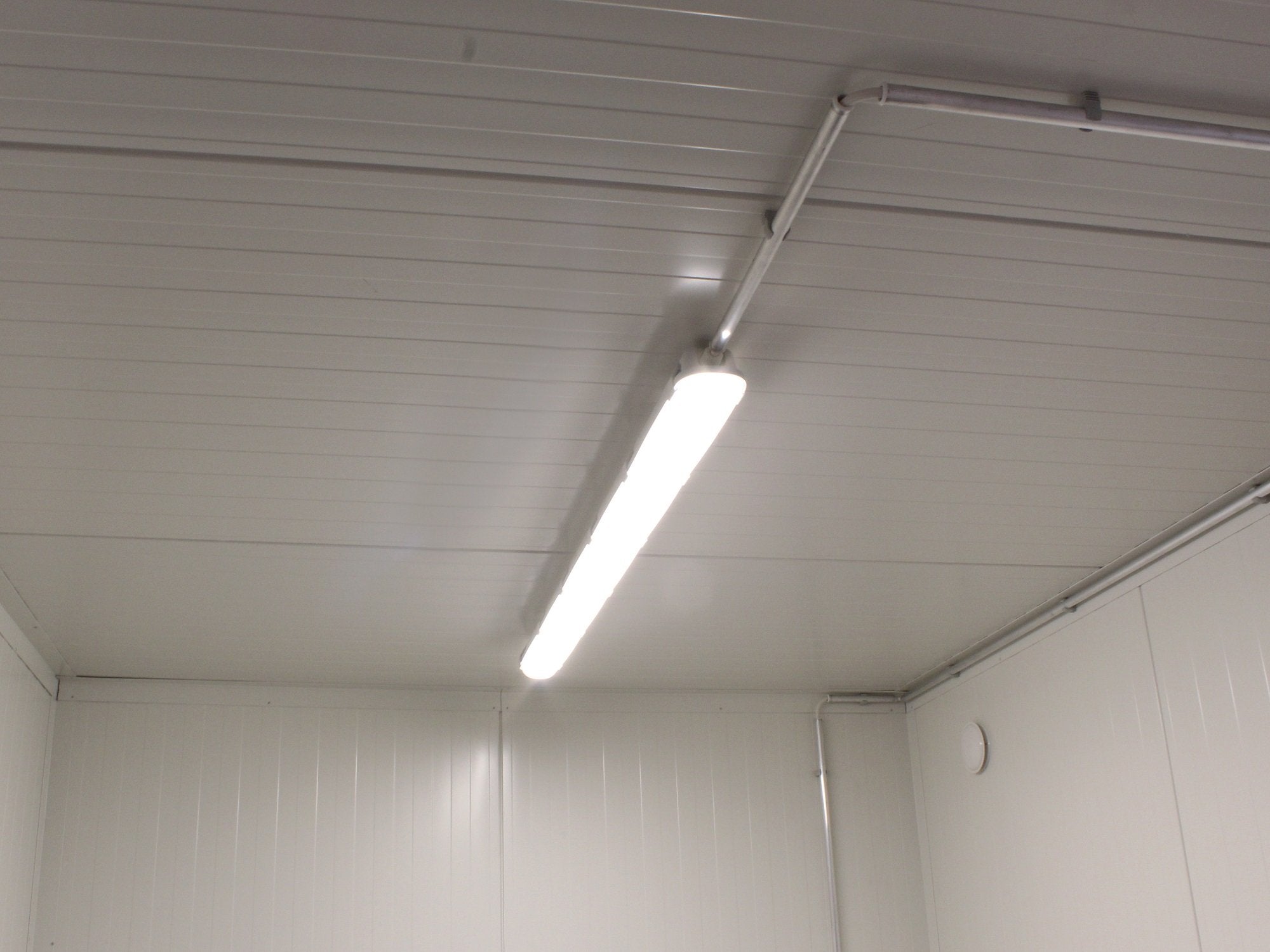 10′ Insulated Container