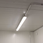 10′ Insulated Container