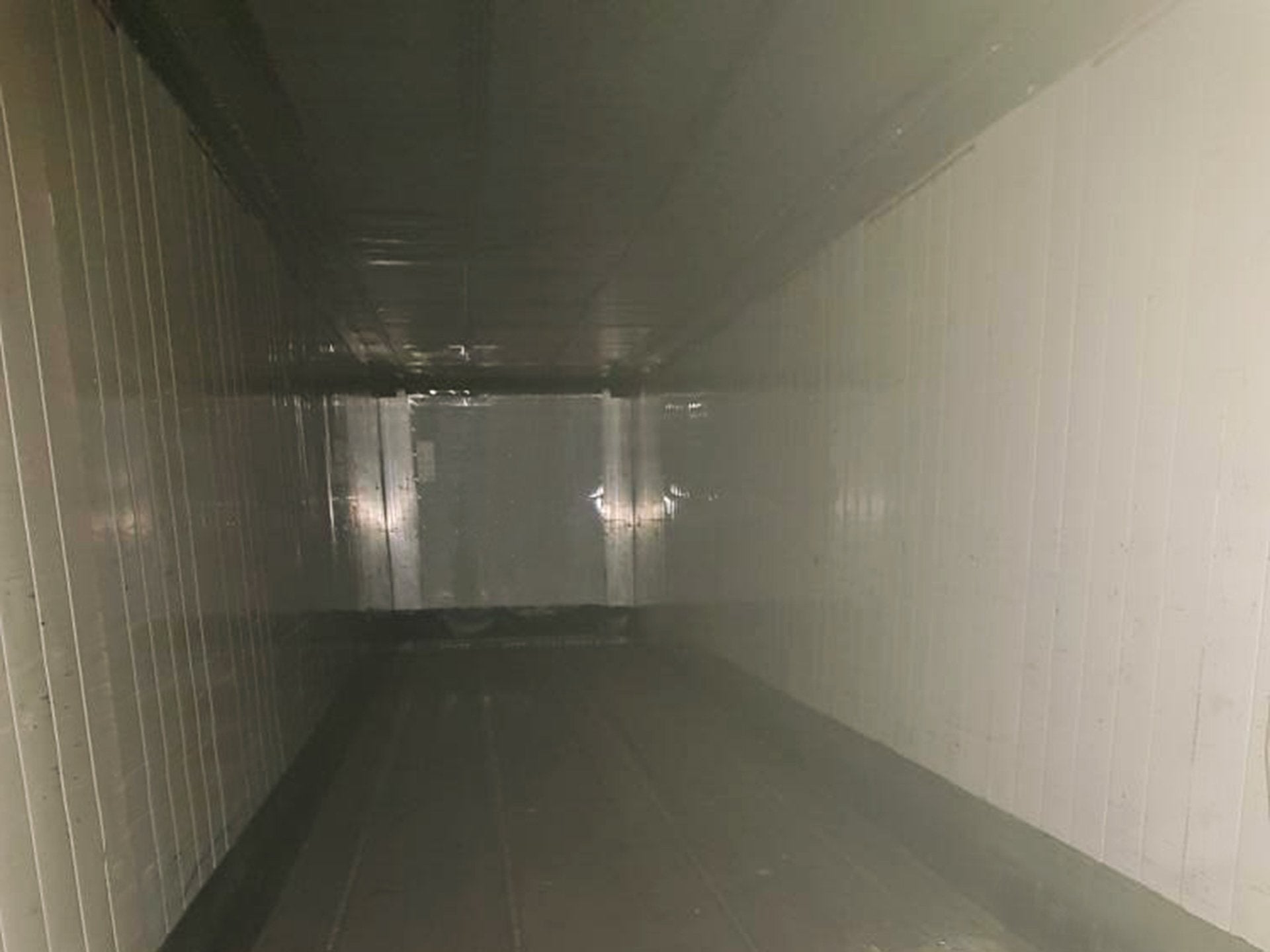 45′ Hcpw Reefer Container