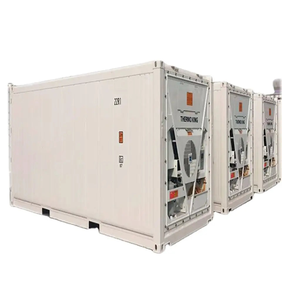 '-60°C Freezer Container for Cold Storage Solutions