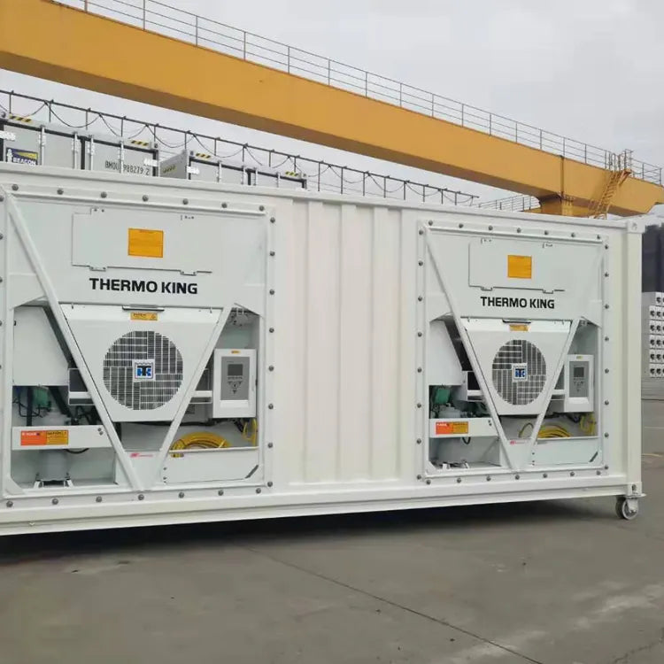 45ft High Thermo King Refrigerator Freezer Cold Room Container