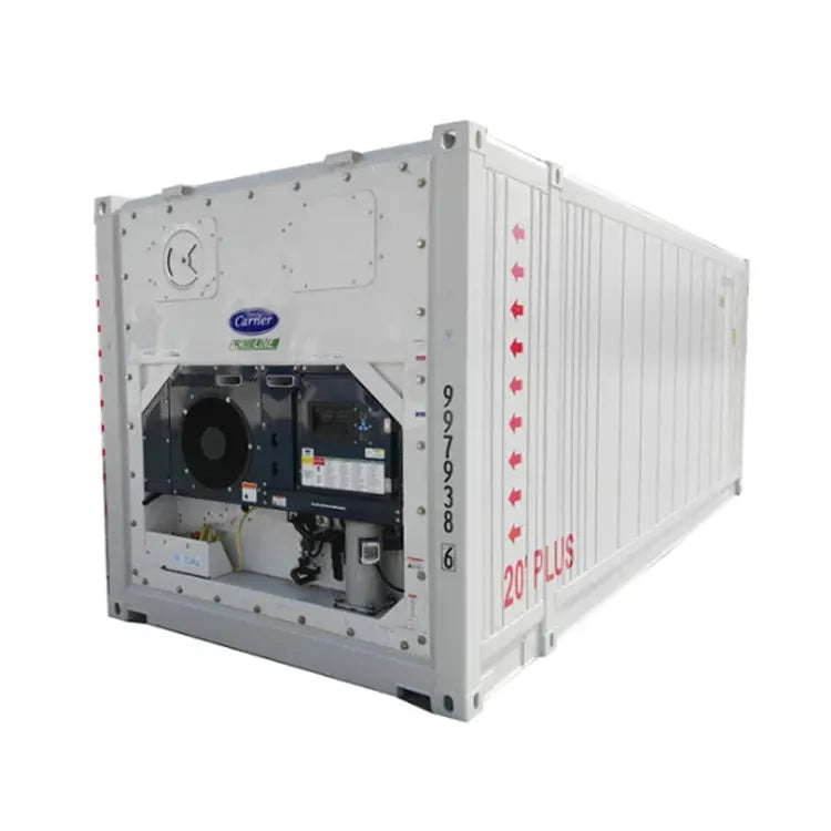 45ft High Thermo King Refrigerator Freezer Cold Room Container